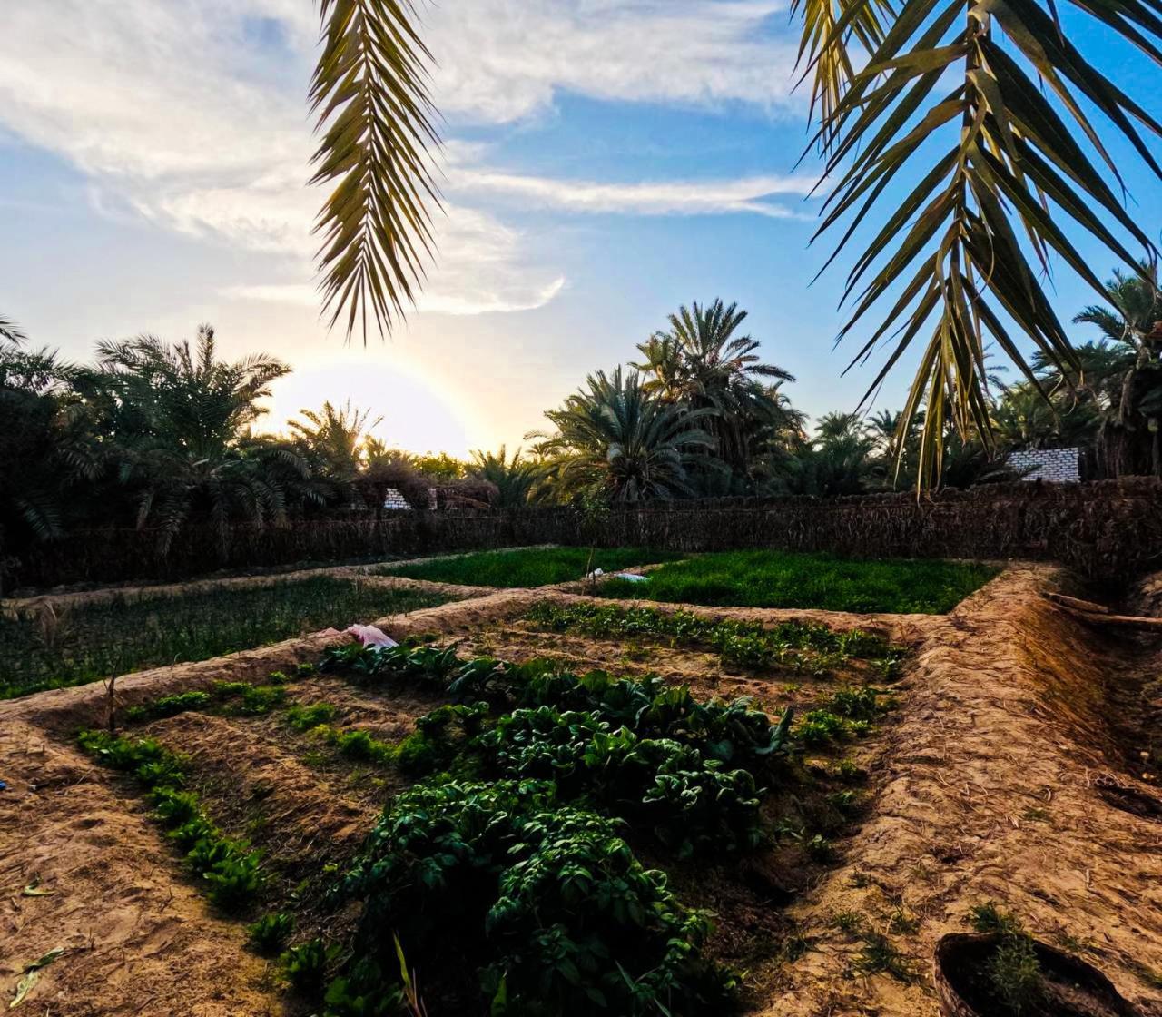 Efosin Siwa Villa Siwa Oasis Exterior photo